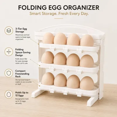 Foldable Egg Holder – size and shape